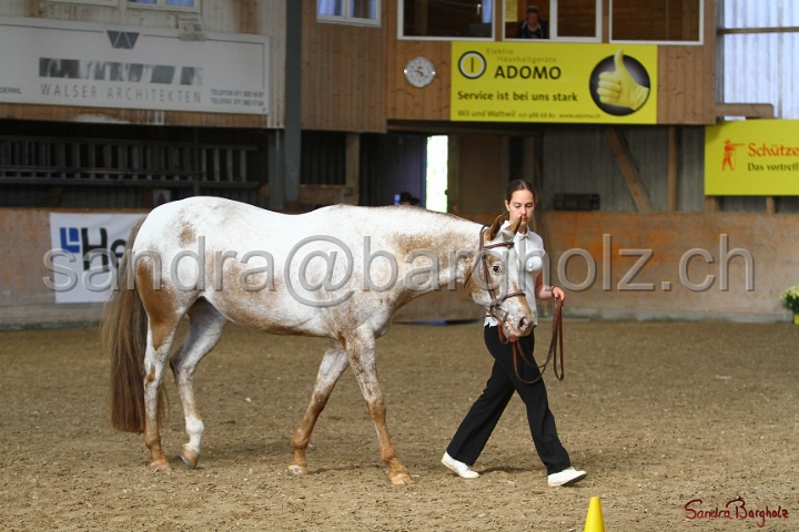 24-ApHC HIH_007.jpg